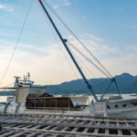 Ocean Fishing Tour in Hiroshima and Oyster Harvesting – Morning Hiroshima Bay