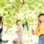 Hiroshima Fruit Picking and Seasonal Hirata Farm Visit Tours in Hiroshima Japan