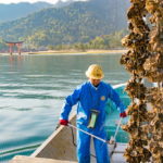 Ocean Fishing Tour in Hiroshima and Oyster Harvesting – Morning Hiroshima Bay